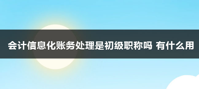 会计信息化账务处理是初级职称吗 有什么用？