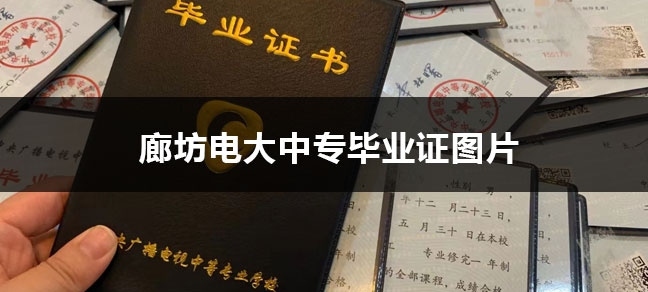 jiyu365.jpg