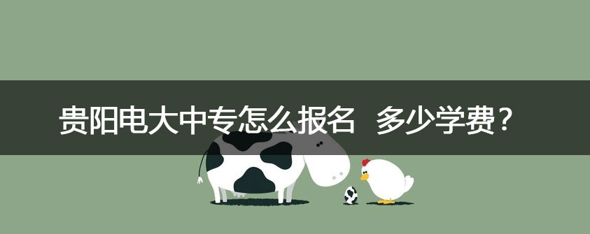 文章配图.jpg
