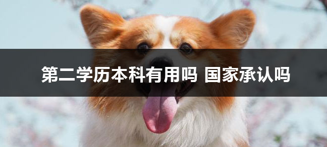 jiyu365.jpg