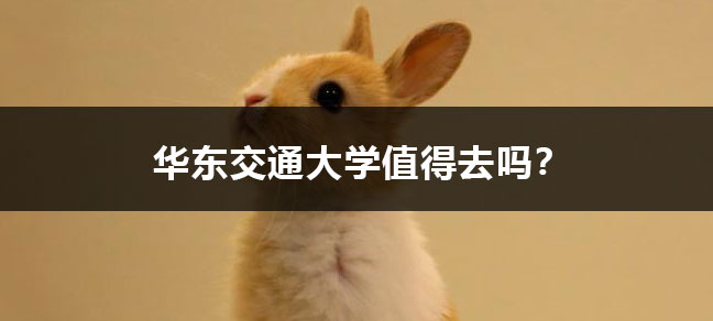 jiyu365.jpg