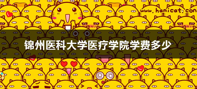 jiyu365.jpg