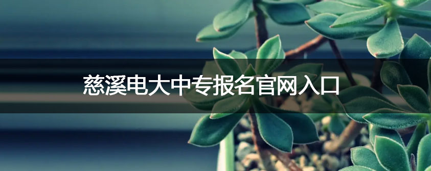 文章配图.jpg