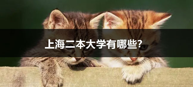 jiyu365.jpg