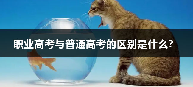 jiyu365.jpg