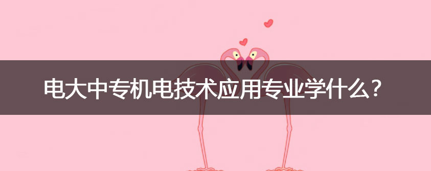 文章配图.jpg
