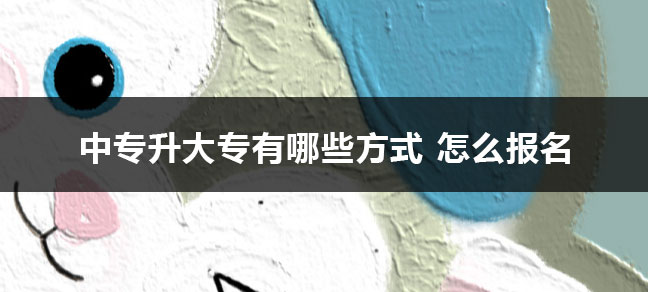 jiyu365-拷贝.jpg