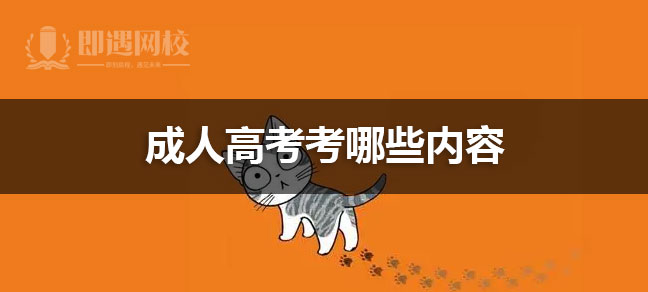 成人高考考哪些内容