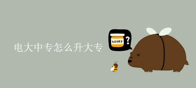 即遇网校.jpg