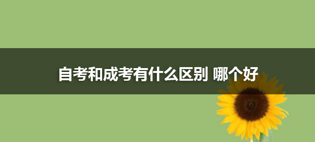 jiyu365.jpg