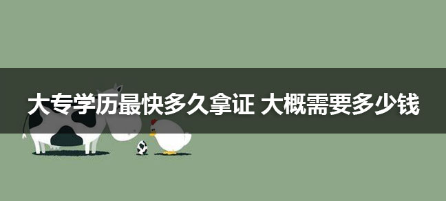 jiyu365.jpg