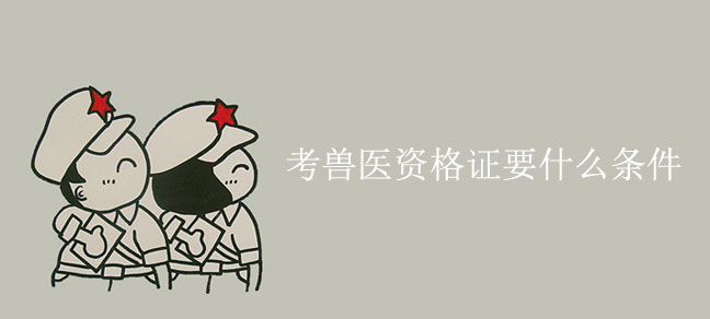 考兽医资格证需要什么条件